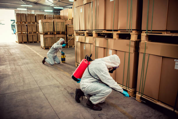 Professional Pest Control in Crownsville, MD