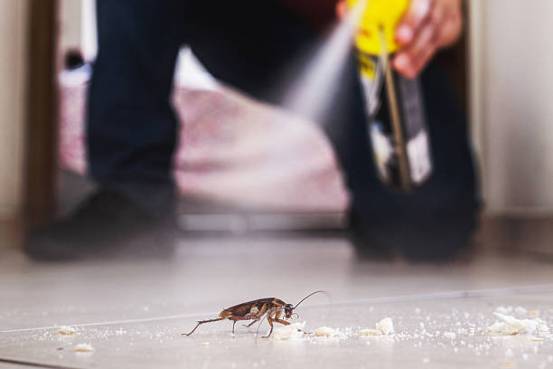 Best Rodent Control Near Me  in Crownsville, MD
